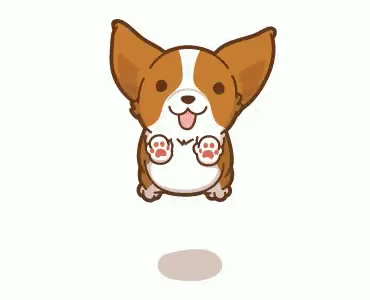 corgi-excited