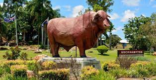 Rock Bull